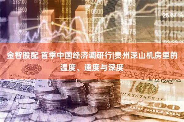 金智股配 首季中国经济调研行|贵州深山机房里的温度、速度与深度
