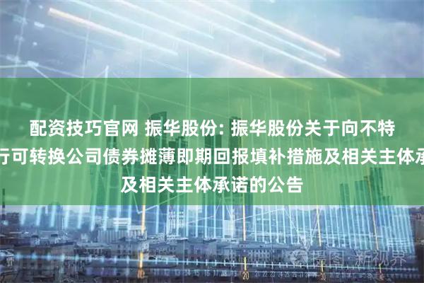 配资技巧官网 振华股份: 振华股份关于向不特定对象发行可转换公司债券摊薄即期回报填补措施及相关主体承诺的公告