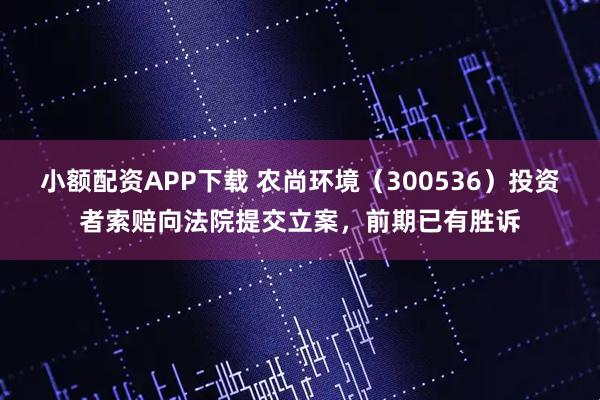 小额配资APP下载 农尚环境（300536）投资者索赔向法院提交立案，前期已有胜诉